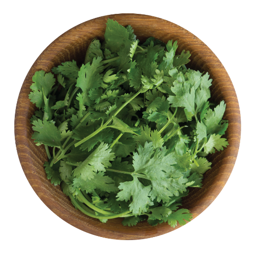 Three Cilantro mezeh mediterranean grill | fresh, bold, natural mediterranean flavor